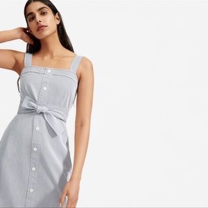 Everlane The Cotton Weave Picnic Dress